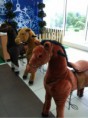 /album/cavallini-del-pony-ranch/mobilni-konjici-slika-17201924-jpg/
