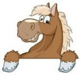 /album/cavallini-del-pony-ranch/k6575092cavalino-jpg/